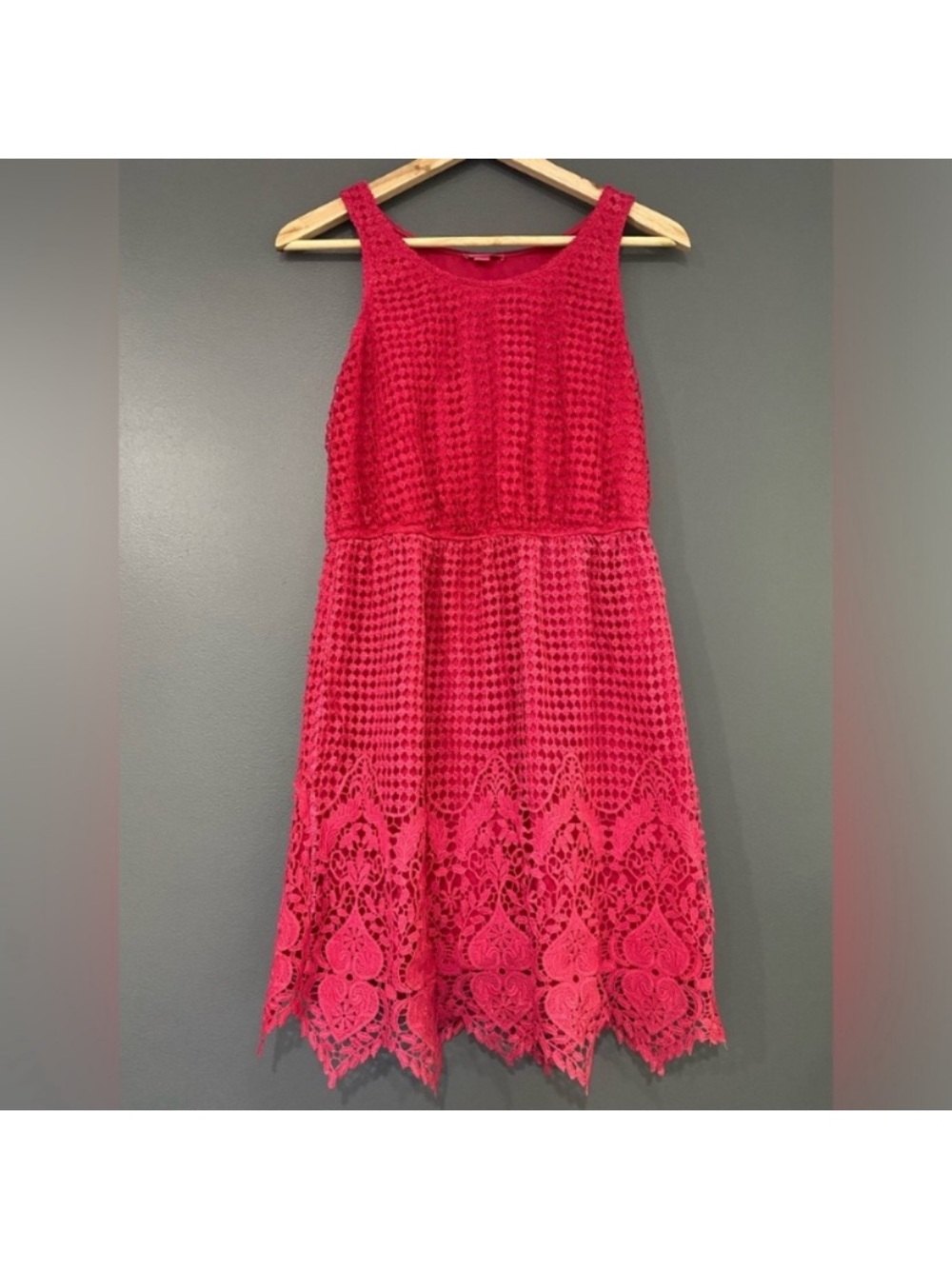 Women’s Pink Lace Fit & Flare Dress